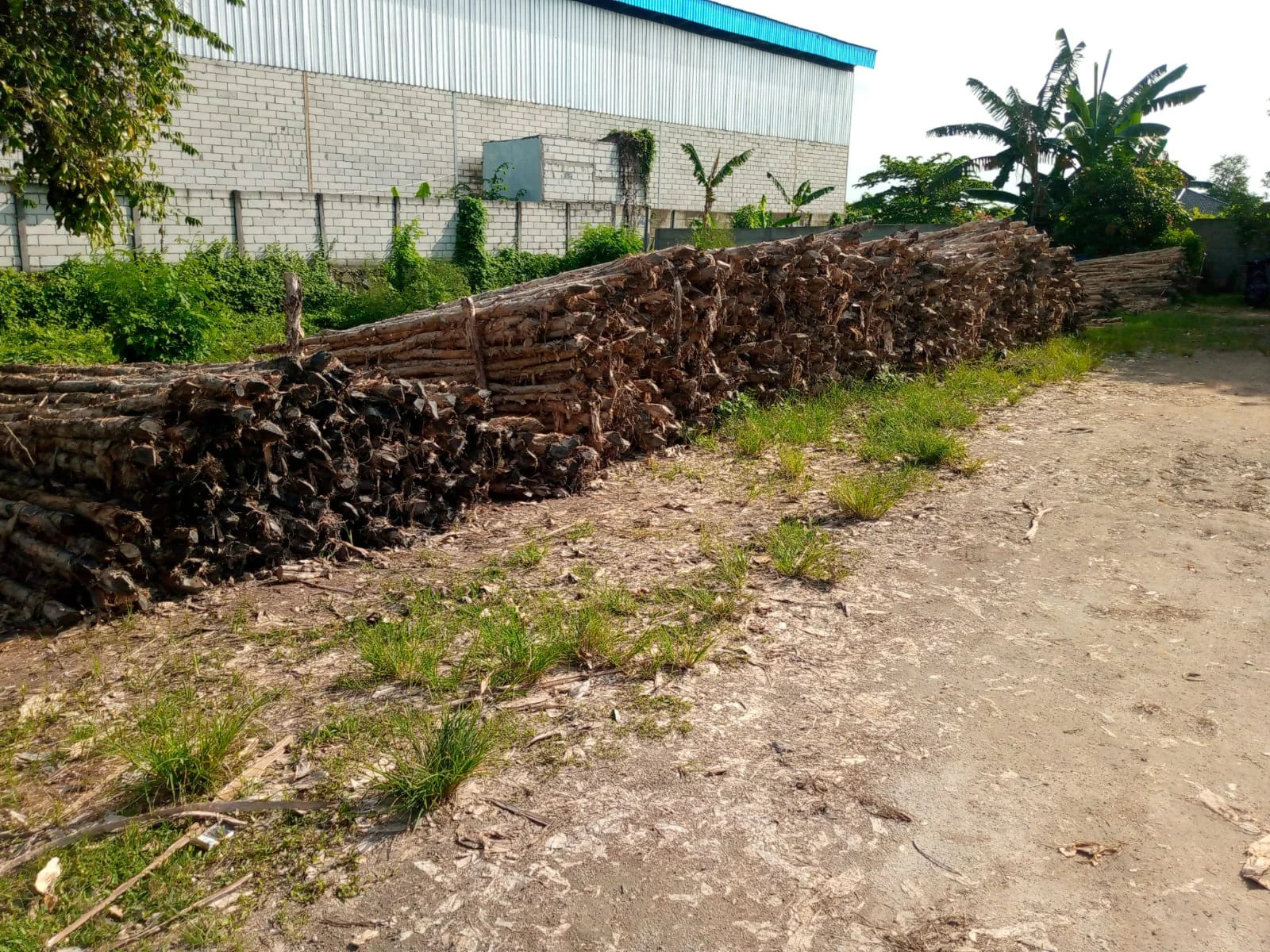 Inspirasi Aplikasi Kayu Dolken Gelam untuk Hotel dan Cafe