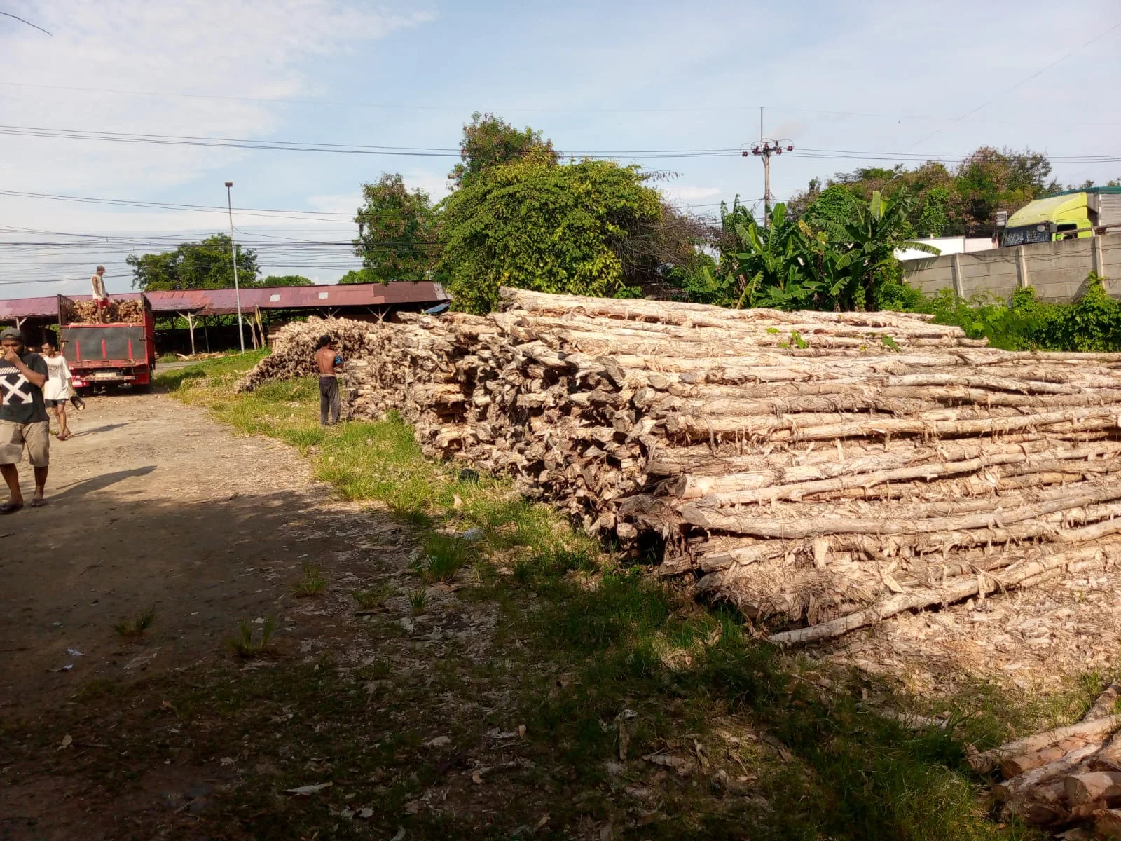 Cara Memilih Ukuran Kayu Dolken yang Tepat untuk Proyek Anda