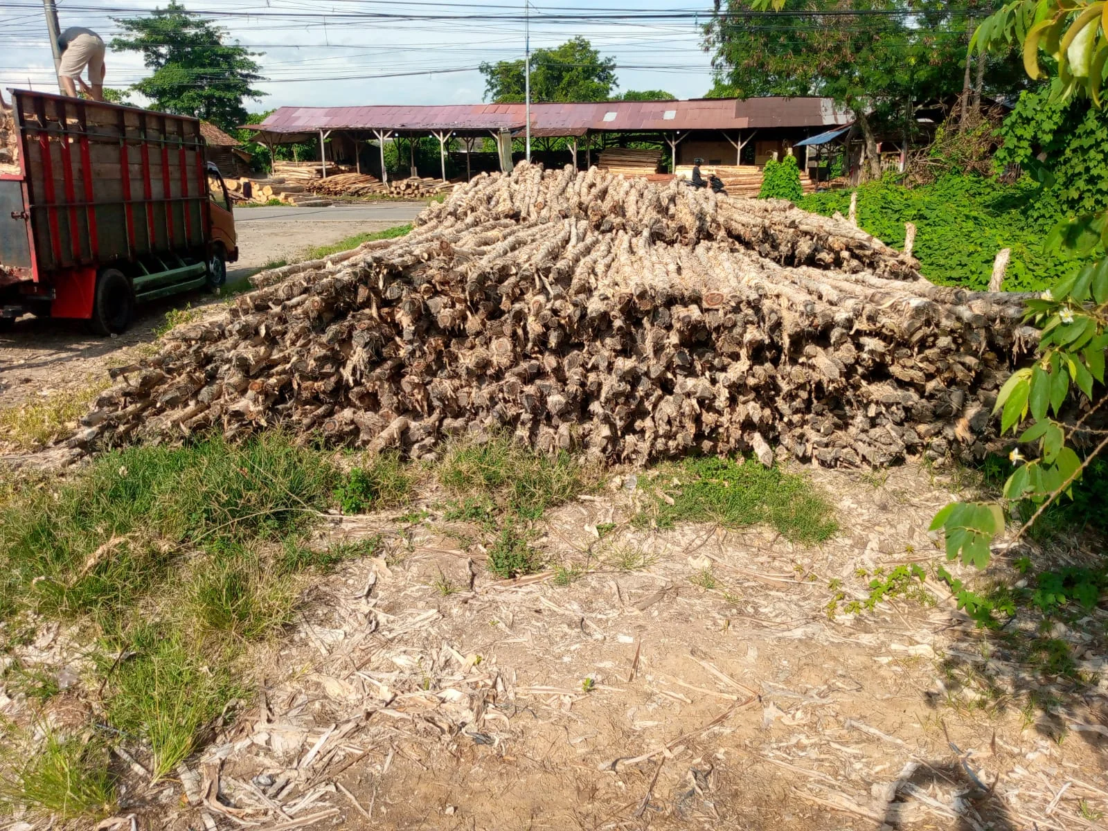 Cara Menghitung Kebutuhan Kayu Dolken Untuk Proyek Anda