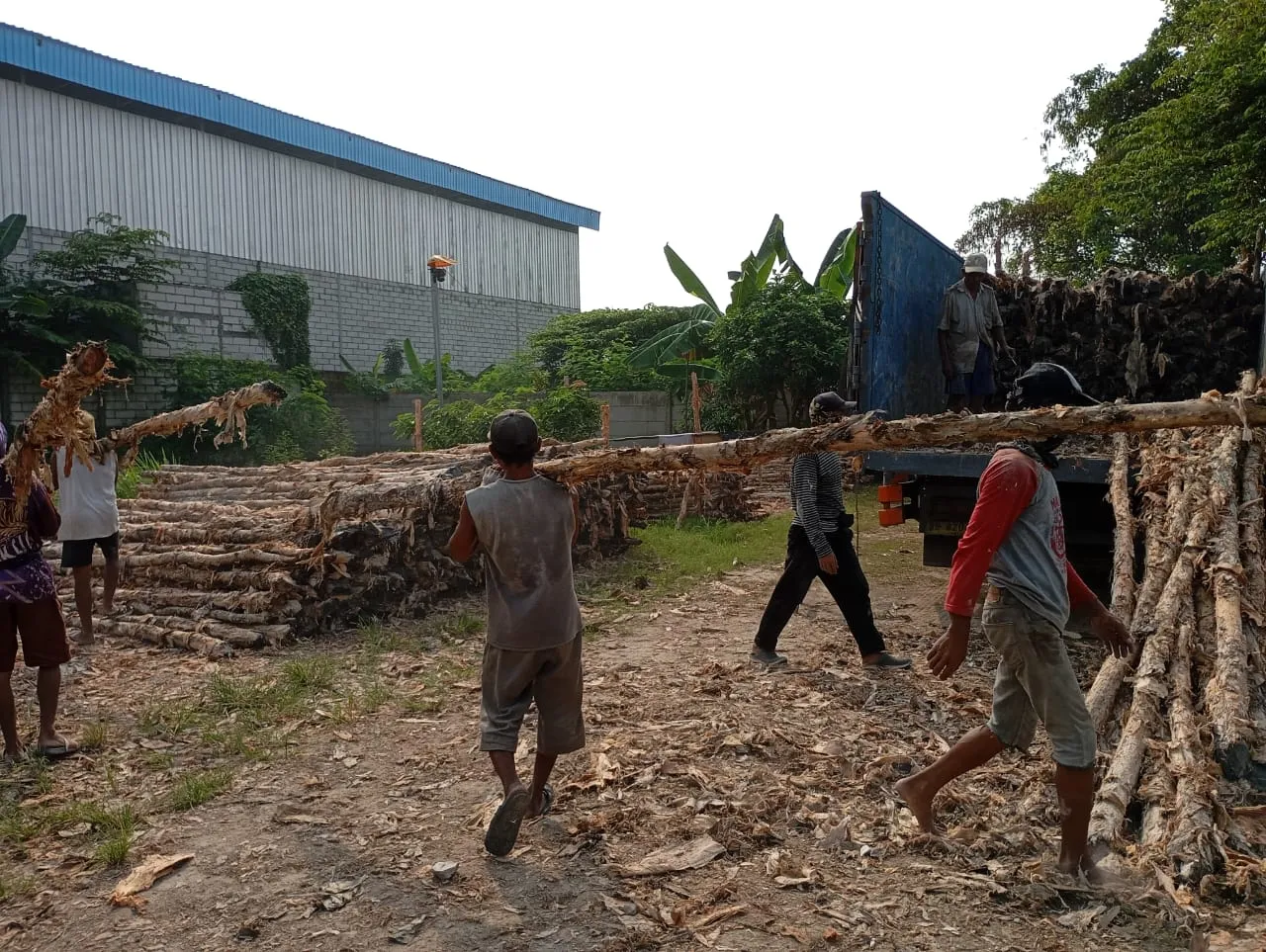 Jual Kayu Dolken Gowa — kualitas premium kayu dolken
