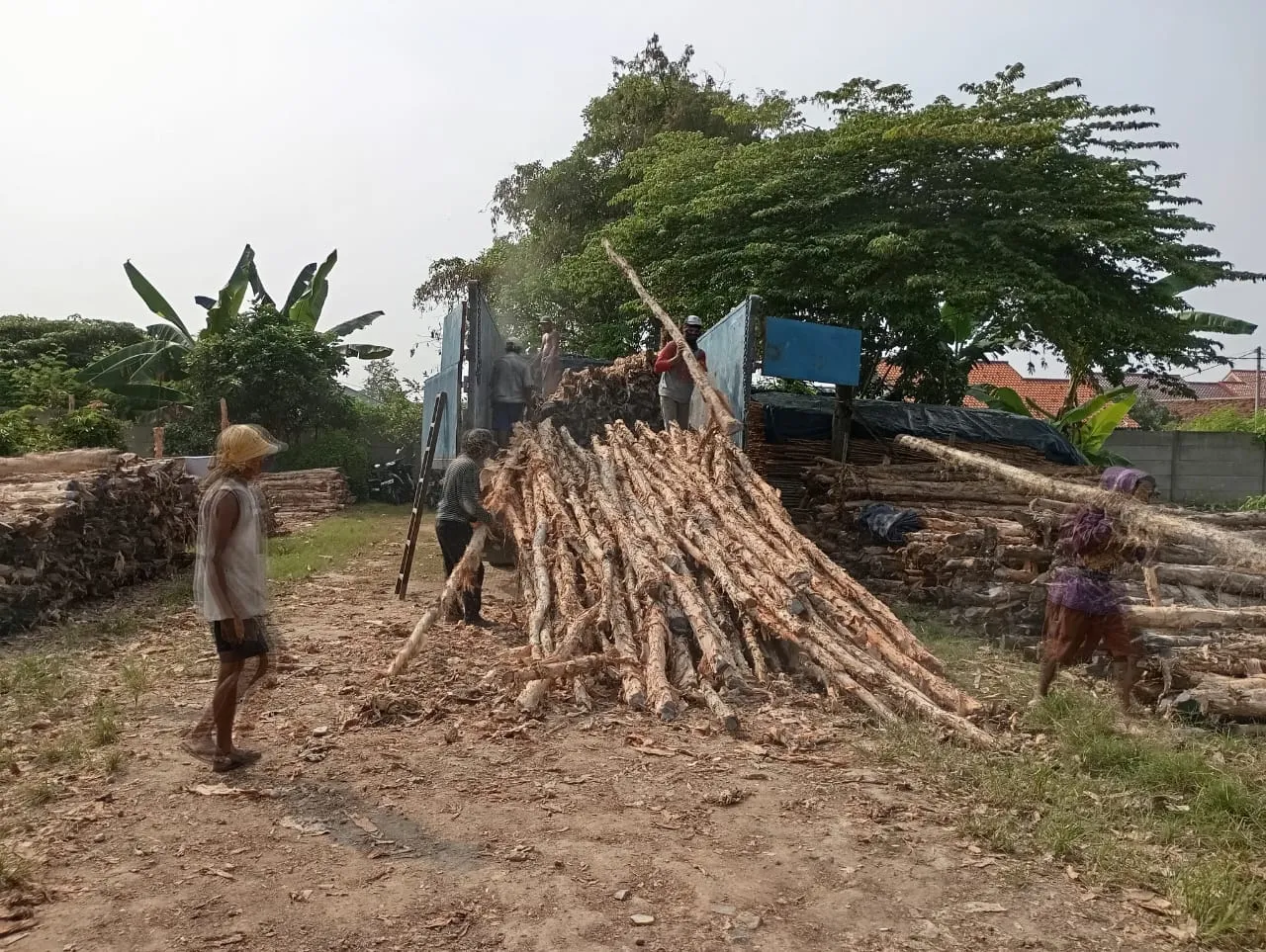 Jual Kayu Dolken Gowa — gratis ongkir ke seluruh Gowa