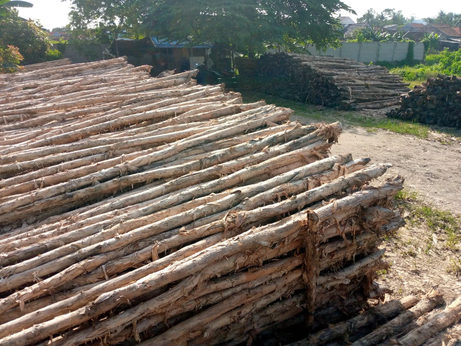 Jual Kayu Dolken Jakarta Utara - Hub 081311400177 - Gratis Ongkir