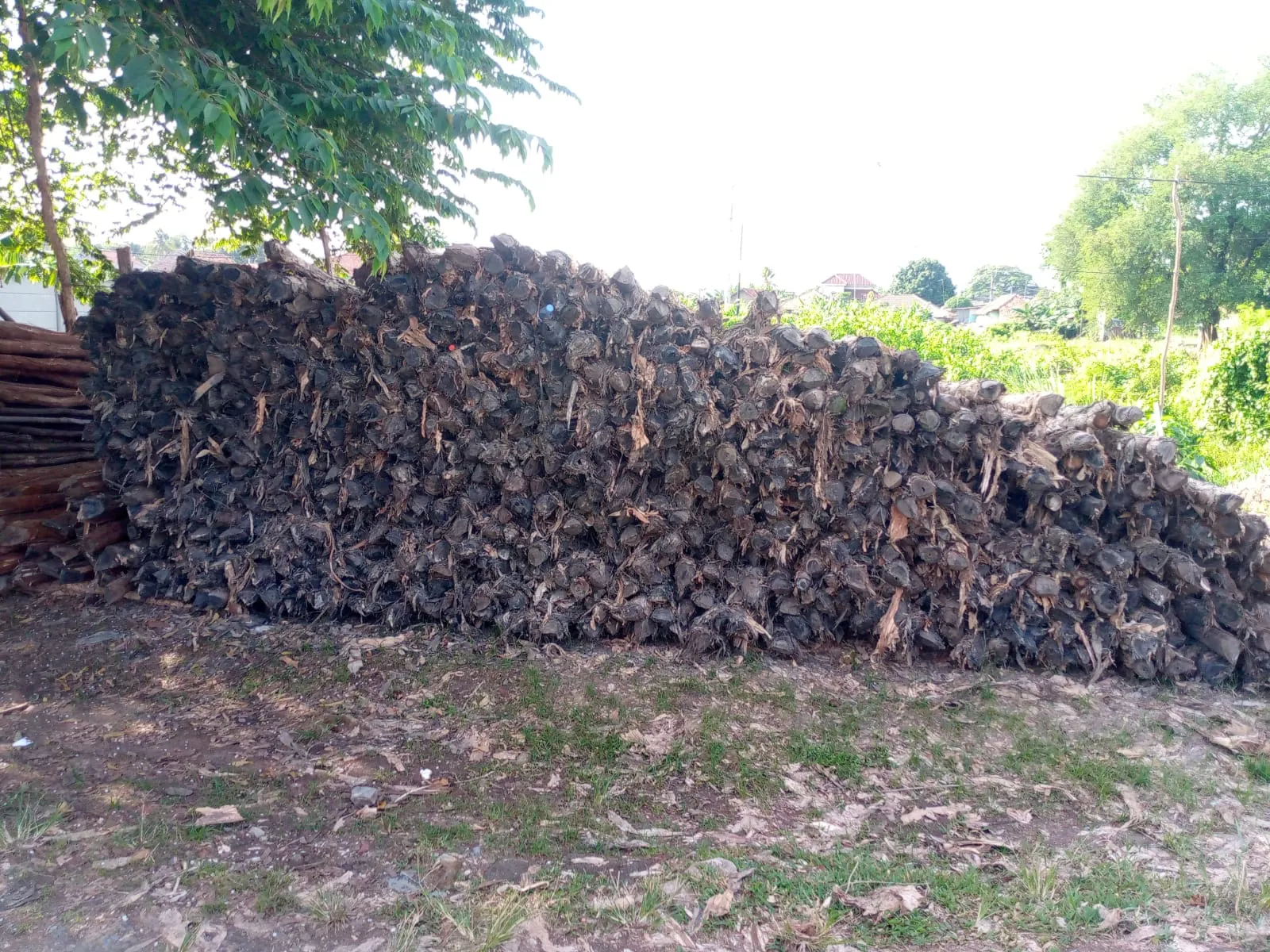 Jual Kayu Dolken Karawang | Gratis Ongkir KIIC & Cikampek | Hub. 081311400177