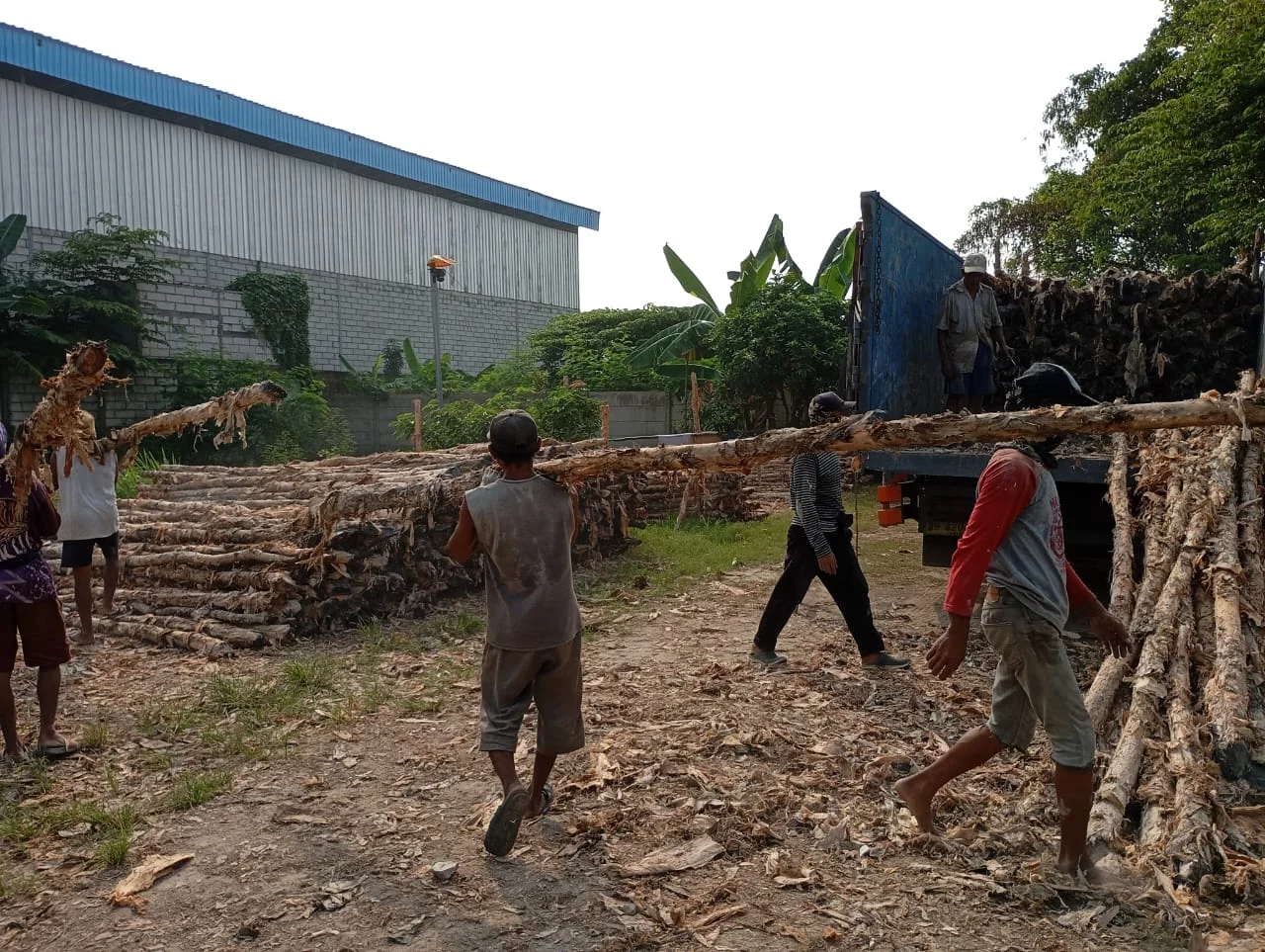 Jual Kayu Dolken Makassar — foto 2