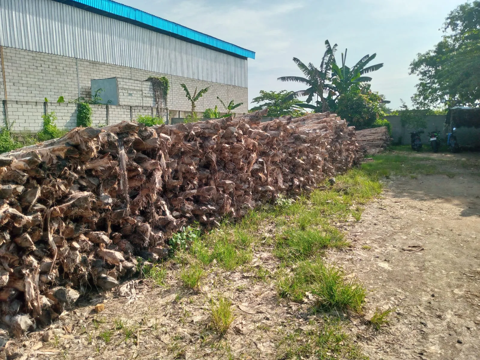 Jual Kayu Dolken Semarang - Hub 081311400177 - Gratis Ongkir