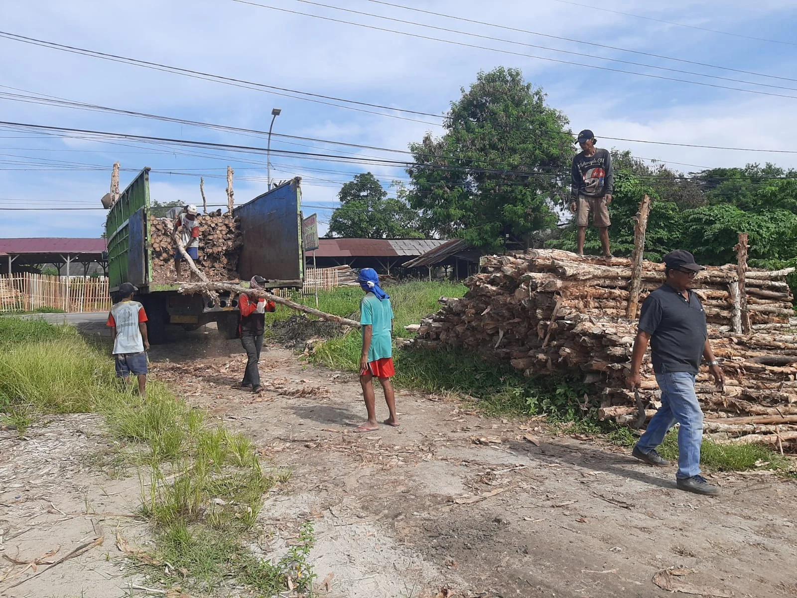 Keunggulan Kayu Dolken Gelam untuk Konstruksi