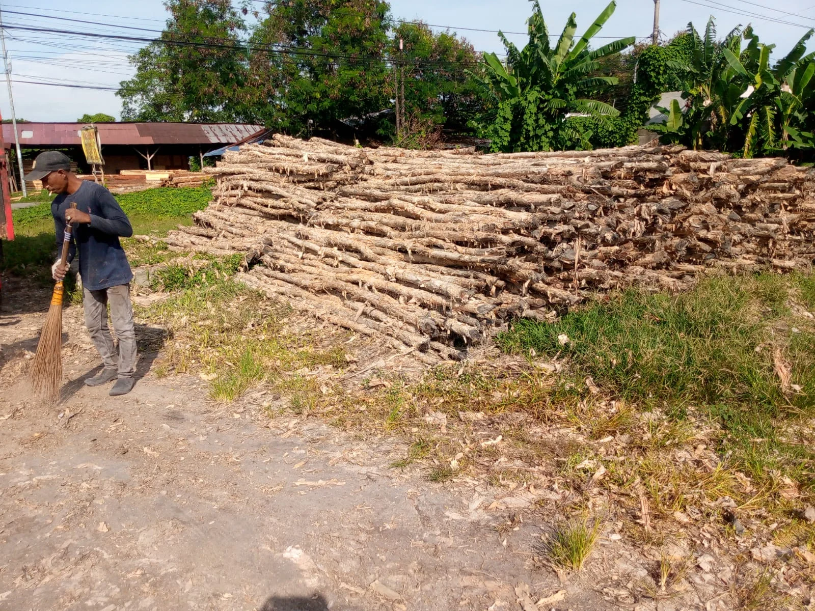 Cara Merawat Kayu Dolken Gelam Agar Tetap Awet Puluhan Tahun